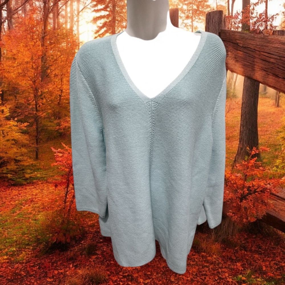 J. Jill Soft Blue V-Neck Sweater size xl